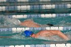 Swimming vs Babson  Wheaton College Swimming vs Babson College. - Photo By: KEITH NORDSTROM : Wheaton, Swimming, Babson